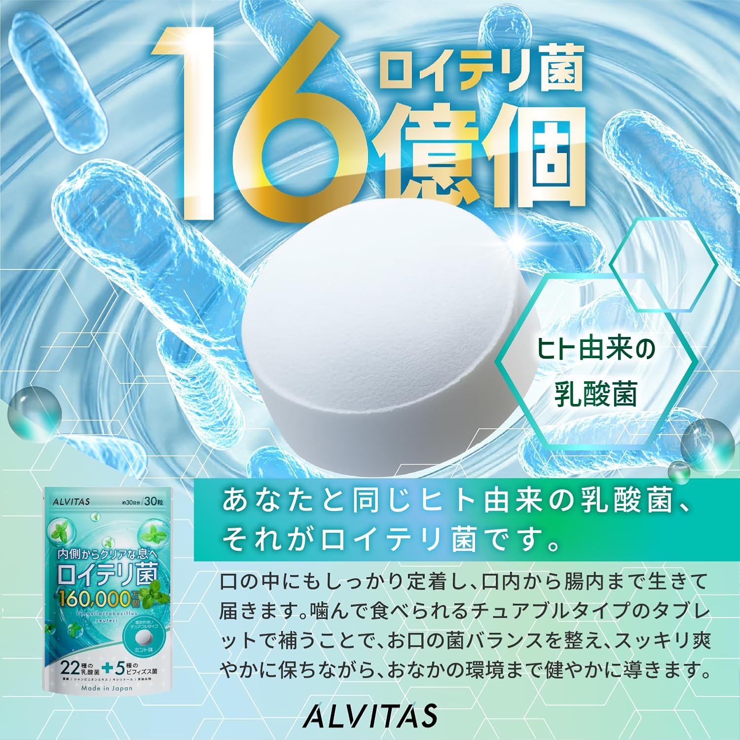 Reuteri Bacteria (High Concentration, 48 Billion Bacteria x 22 Types) Live Reuteri Bacteria Supplement, 30 Day Supply, Mint Flavor, ALVITAS, 22 Types of Lactobacillus Bacteria, 5 Types of