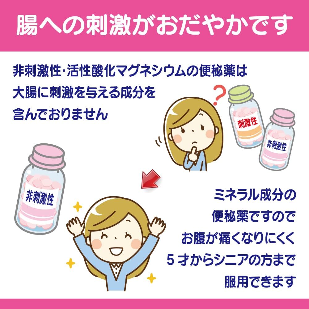 【第3類医薬品】3Aマグネシア 360錠