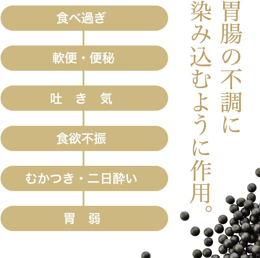 【第3類医薬品】陀羅尼助丸 分包 60包