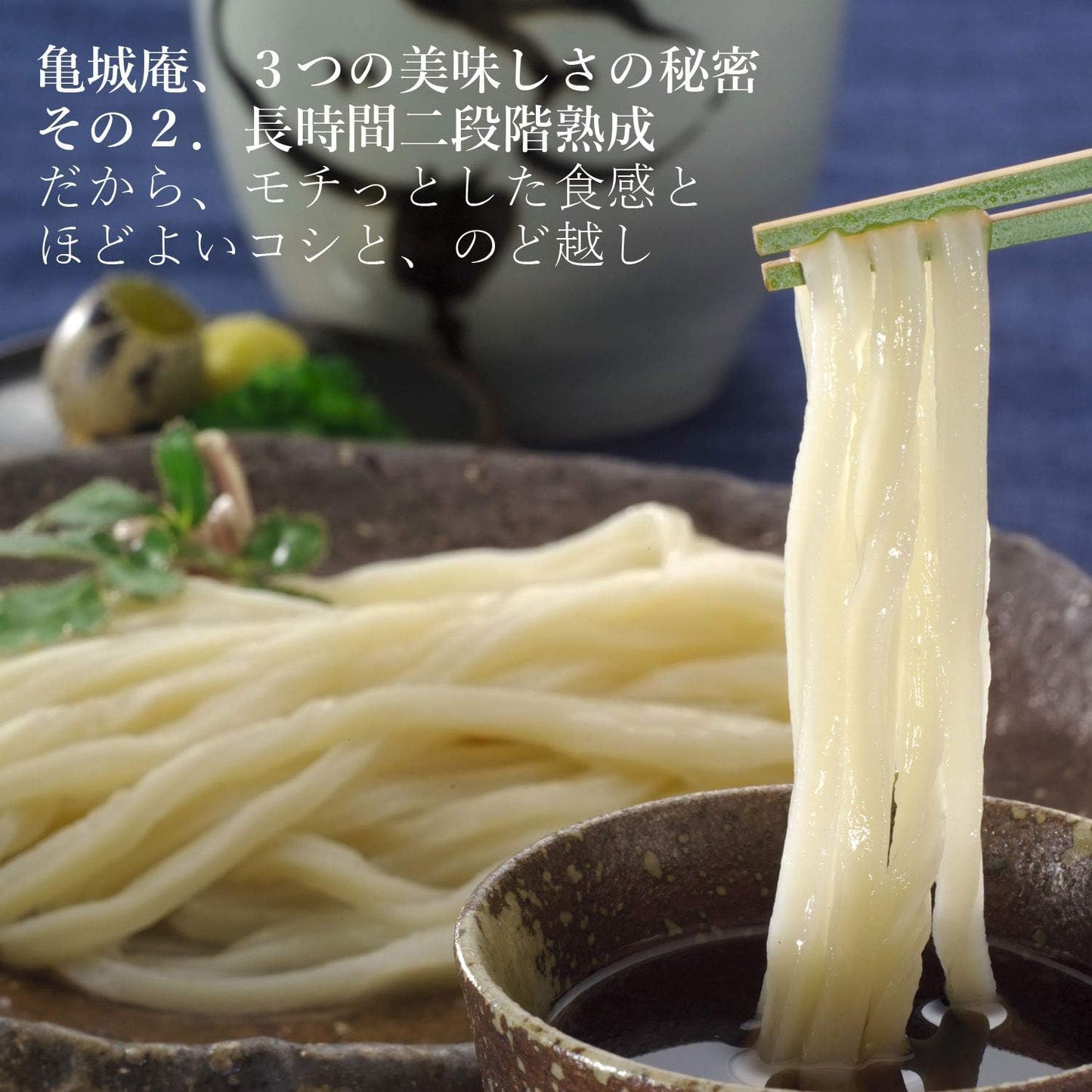 Sanuki Udon by Kamejyo-an, Kagawa Sanuki Udon Home Use Set (120g×10 bags) Medium Cut Noodles, Semi-Fresh Dry Noodles (No Synthetic Preservatives)