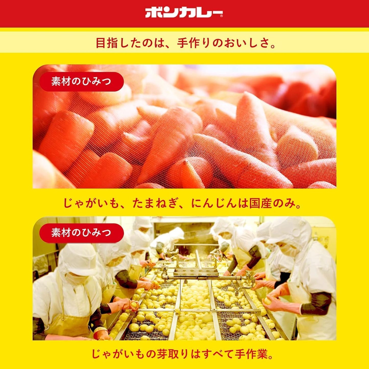 Otsuka Foods Bon Curry Gold, Medium Spicy, 6.3 oz (180 g) x 5 Pieces, Microwave Cookable