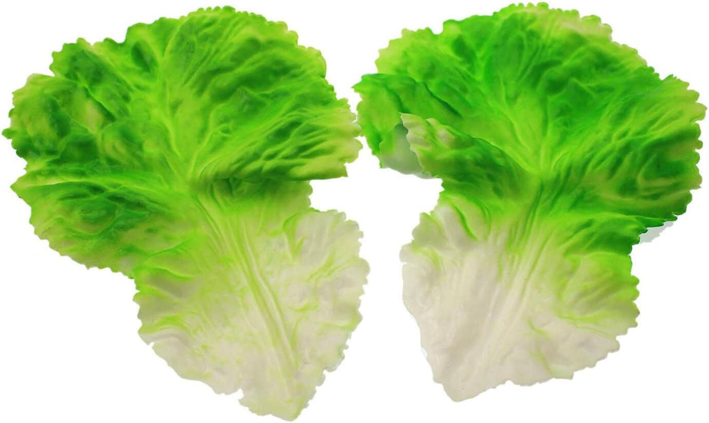 Speed mao Lifelike Sunny Lettuce, Green Vegetables, Food Sample, Model, Set of 5