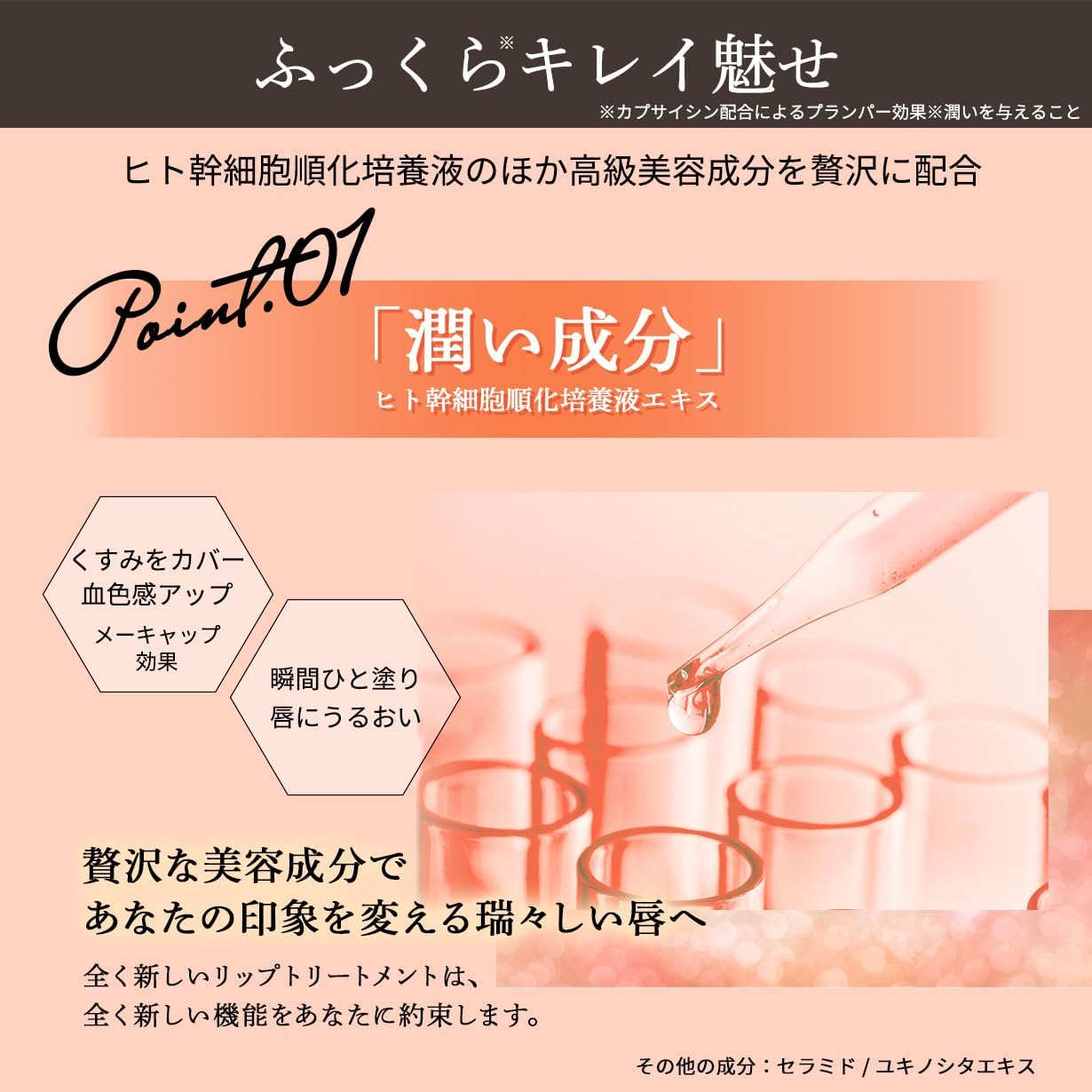 【公式】ヒト幹細胞培養液配合 エロイーナ リップトリートメント
