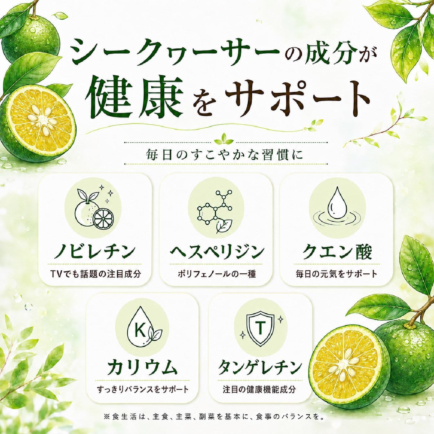 Ryukyu Front Chimudon Yamahara Seaquacer, 10.1 fl oz (300 ml) x 4 Bottles