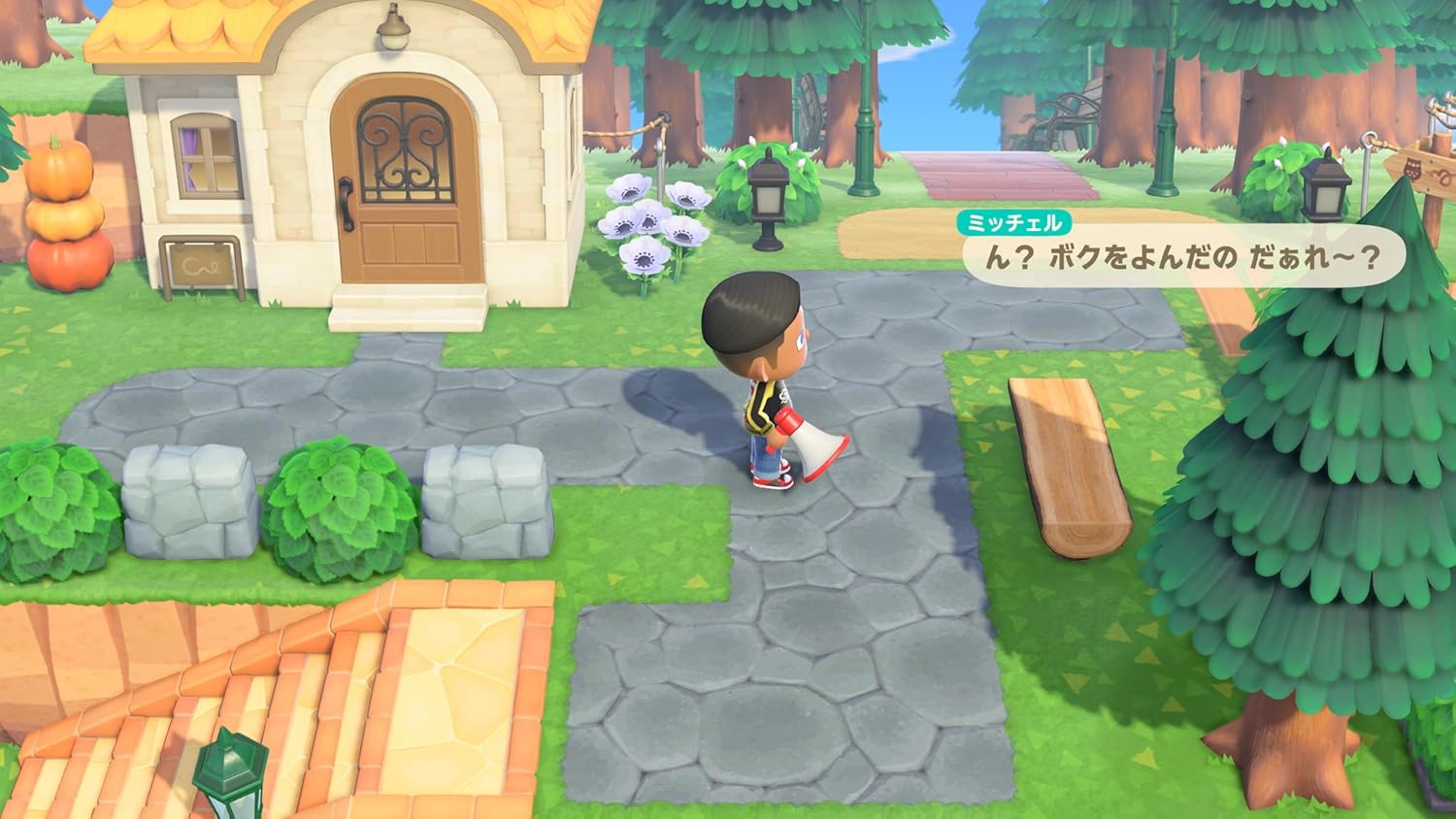 あつまれ どうぶつの森 Nintendo Switch 2 Edition -Switch2