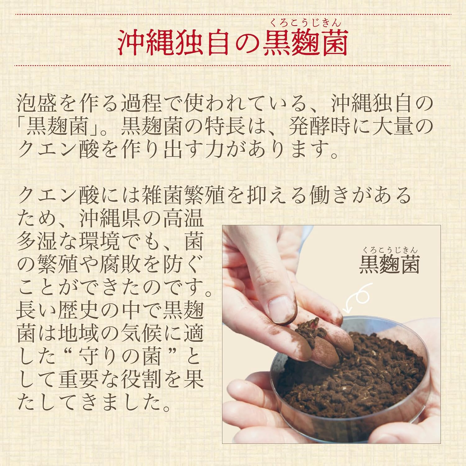 Shimanoya Ginger Vinegar (1 bag, 62 bulbs per month), Kintoki Ginger, Moromi Vinegar, Amino Acid, Citric Acid, Made in Japan