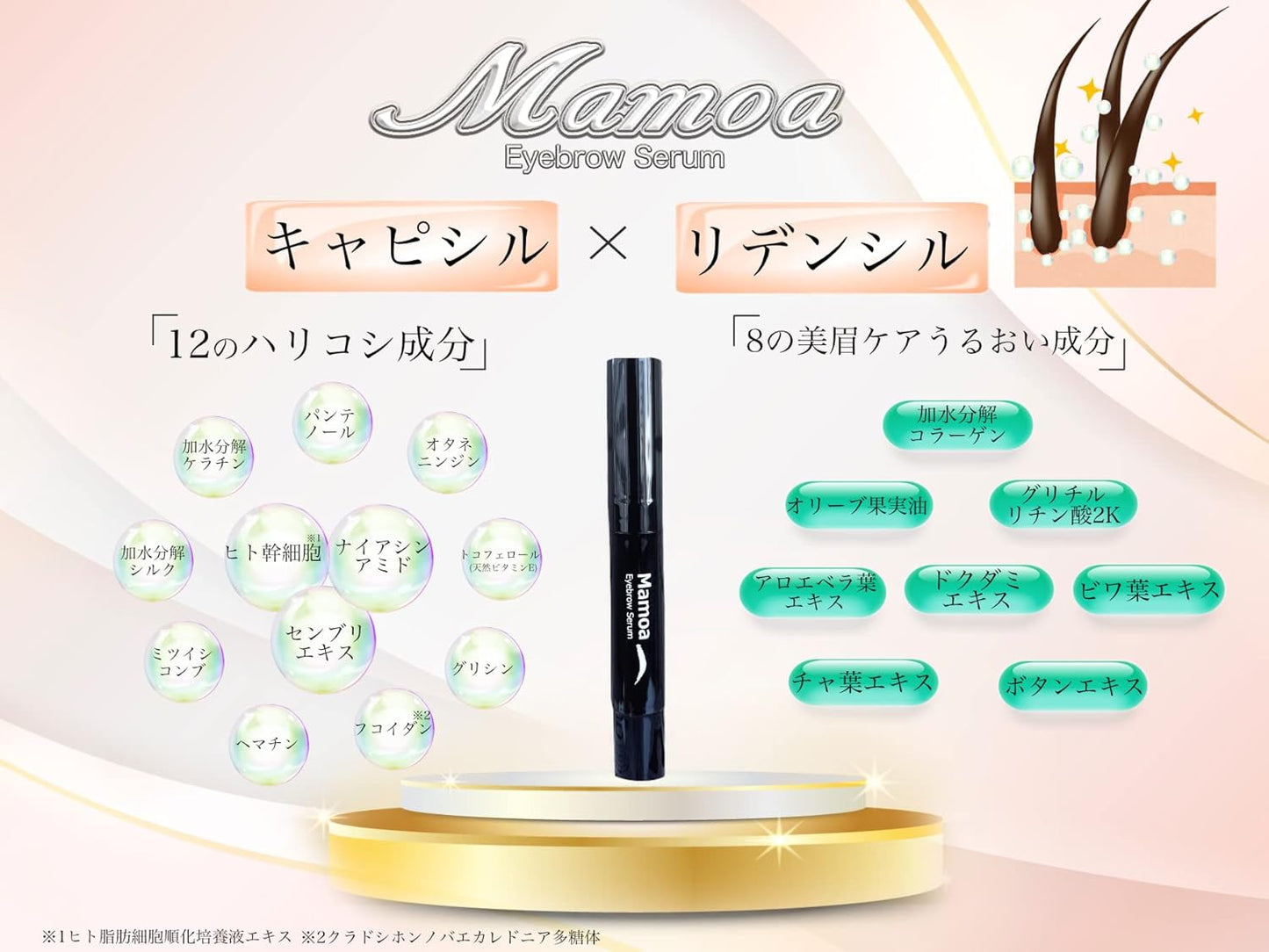 Minish Eyebrow Care, Eyebrow Serum, Eyebrow Serum, Eyebrow Care, Beautiful Eyebrows, Unisex, Mamoa, Human Stem Cells