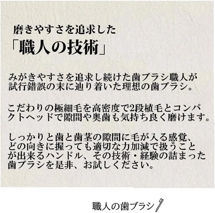 Artisan Toothbrushes, 12 Pieces, Natural Color, Fine Point, Ordinary, Toothbrush Artisan Invented, Safe Made in Japan (12 Pieces)