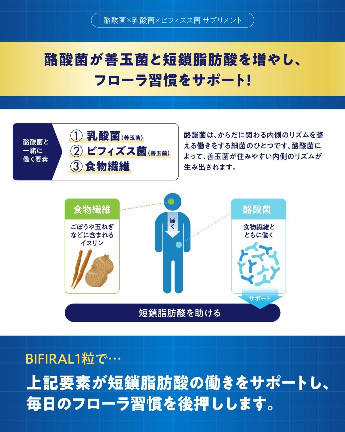 【3 Billion Live Butyric Acid Bacteria Luxuriously Formulated】BIFIRAL Butyric Acid Bacteria Supplement 3 Billion 30-Day Supply Lactic Acid Bacteria Bifidobacteria Made in Japan Bacterial Activity