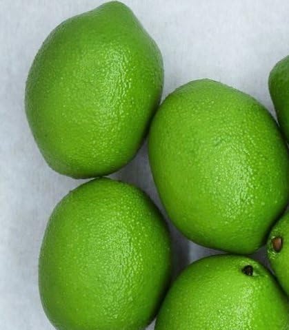 Lemon Food Model, Food Sample, 2 Colors, Set of 10, Displays, Etc