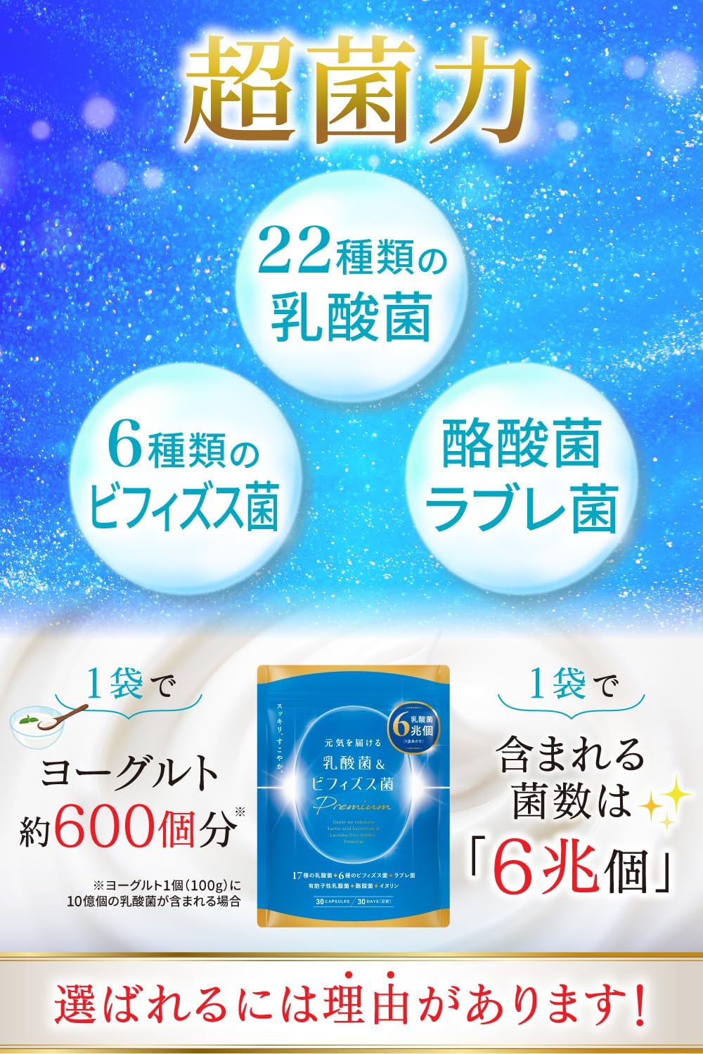 Invigorating Lactic Acid Bacteria & Bifidobacterium Premium Lactic Acid Bacteria 17 Types Bifidobacterium 6 Trillion Bacteria Lactobacillus Inulin, Nutukinase Oligosaccharide (2 Bags)