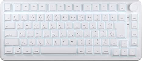 AIM1 Shun MATATAKI Rapid Trigger 8000Hz Polling Rate Wired 75% Size Backlit LED Gaming Keyboard Magnetic Switch (Japanese Array)