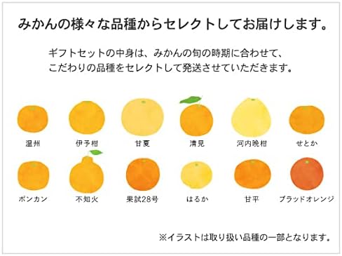 TP561GI 10FACTORY Gift Ehime Mandarin Juice, Ehime Mikan, 100% Juice, 10 Bottles (6.8 fl oz (200 ml), Set of 10 Types, Boxed, Wrapped, Compatible with Iron Paper, Tote Bag Included, High Quality, No Additives, Made in Japan, For Home Celebrations