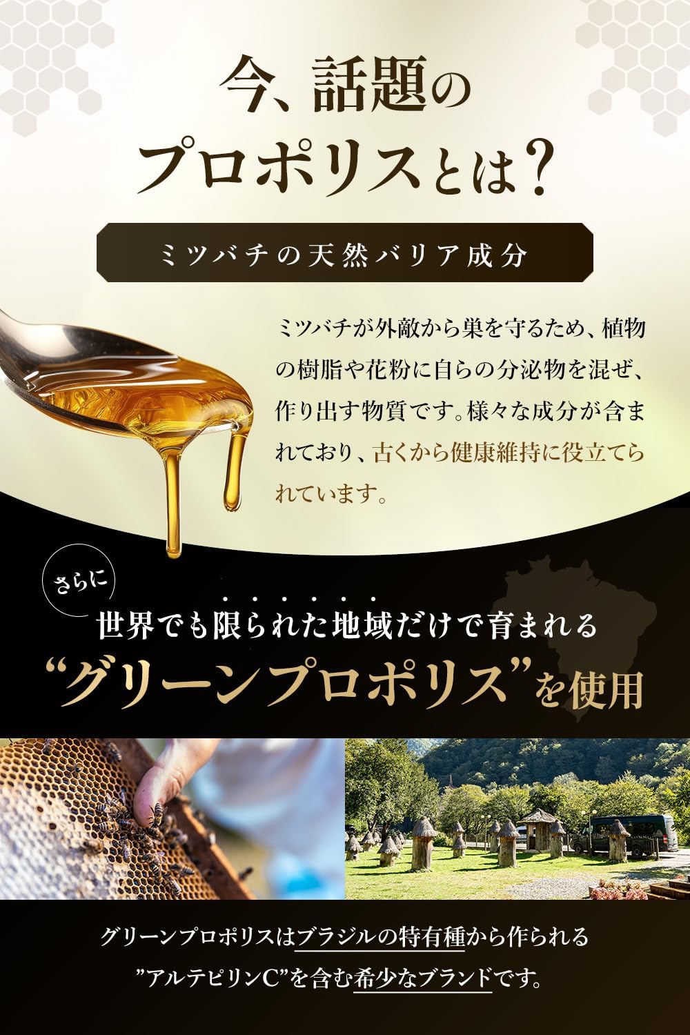 Bee Dense Propolis 360 Meiji Pharmaceutical Propolis 10,800 mg Royal Jelly, 1,800 mg Concentrated Vitamins, Amino Acids, Mineral Supplement, 90 Tablets