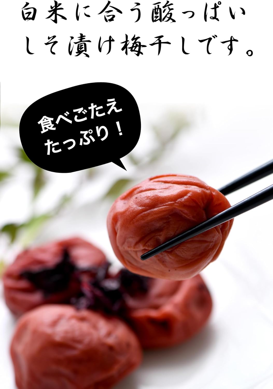 Homemade Shiso Pickled Large Nanko-Ume Plums 1kg, Wakayama-Produced, Traditional Purple Perilla Pickled Nanko-Ume Plums, 13% Salt Content, No Additives, No Colorants, Made with Purple Perilla. No