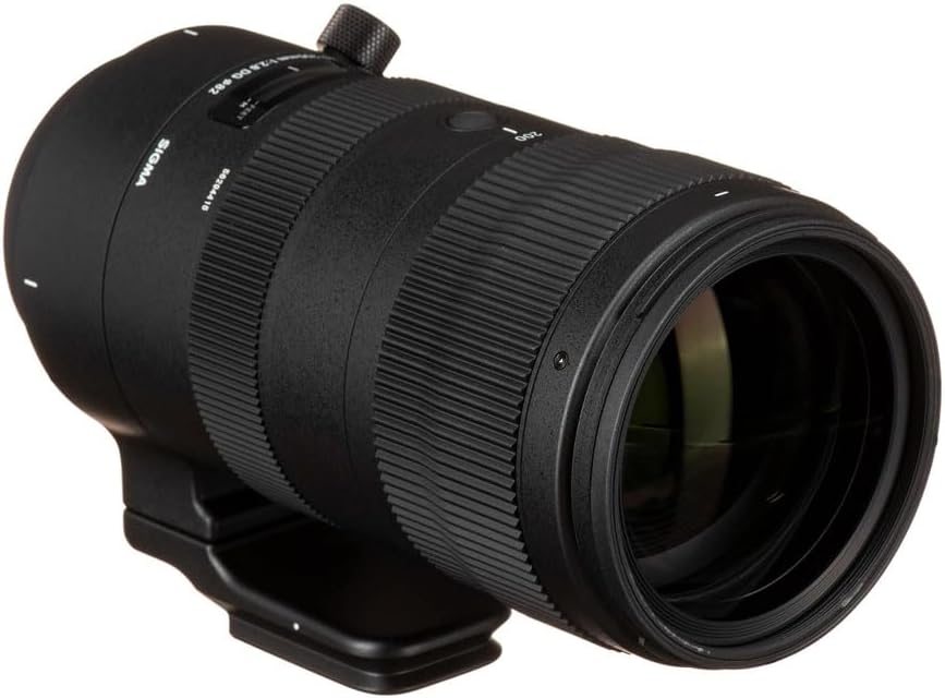 シグマ(Sigma) レンズ 70-200mm F2.8 DG OS HSM Canon キヤノン EFマウント ズーム 望遠 フルサイズ 一眼レフ用 Sports