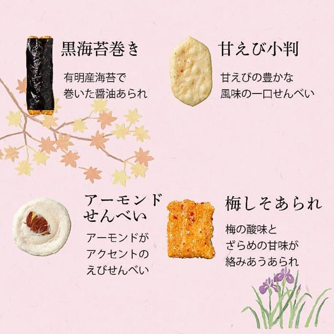Sasaraya Songzukushi, Set of 10 Bags, Hidesuya Confectionery, Assorted Gift, Toyama (10 Bags)