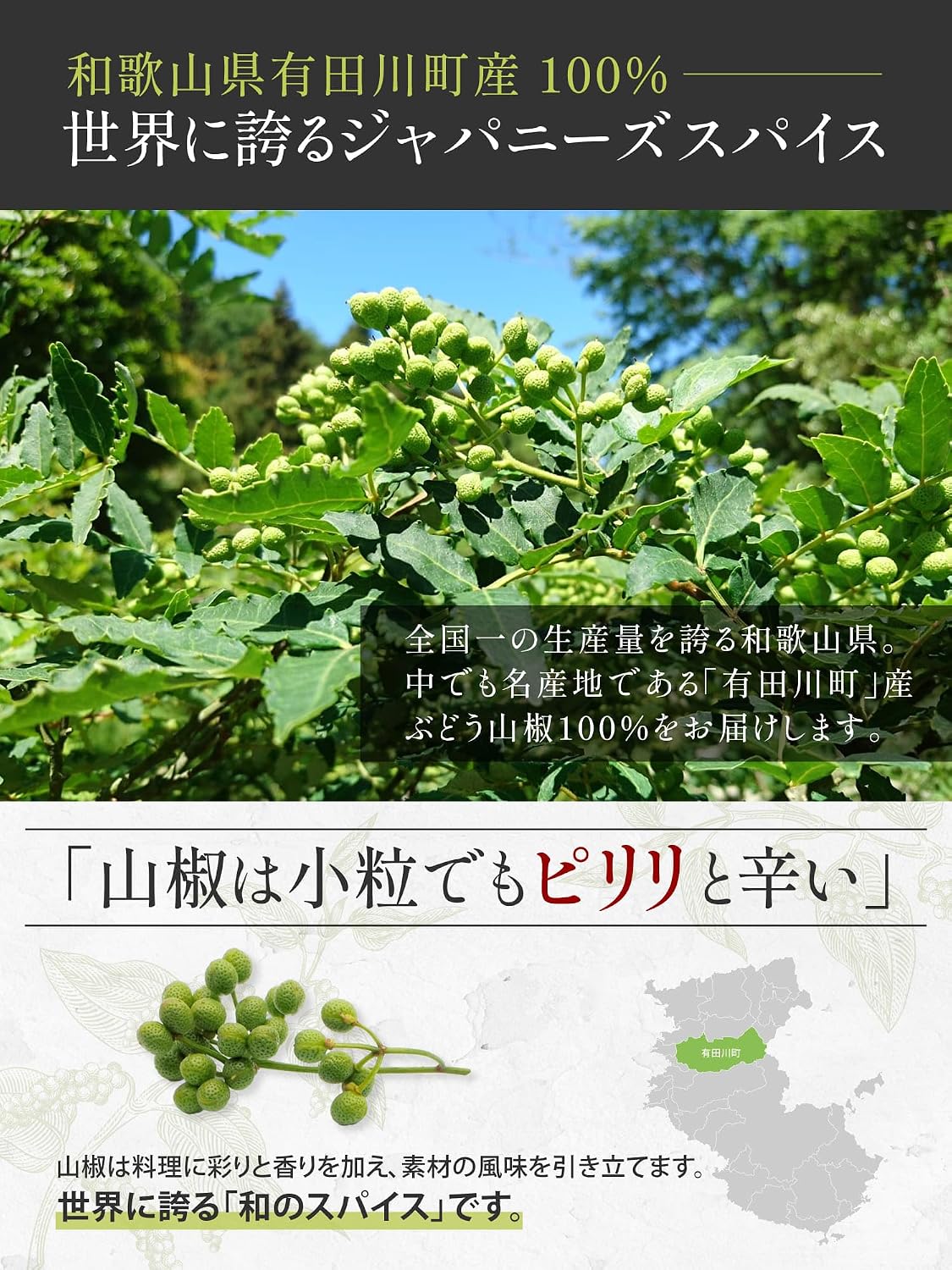 SPANION Powdered Pepper, Made in Aritagawa Town, Wakayama Prefecture, 0.4 oz (12 g), Japanese Pepper, Seasoning, Gift
