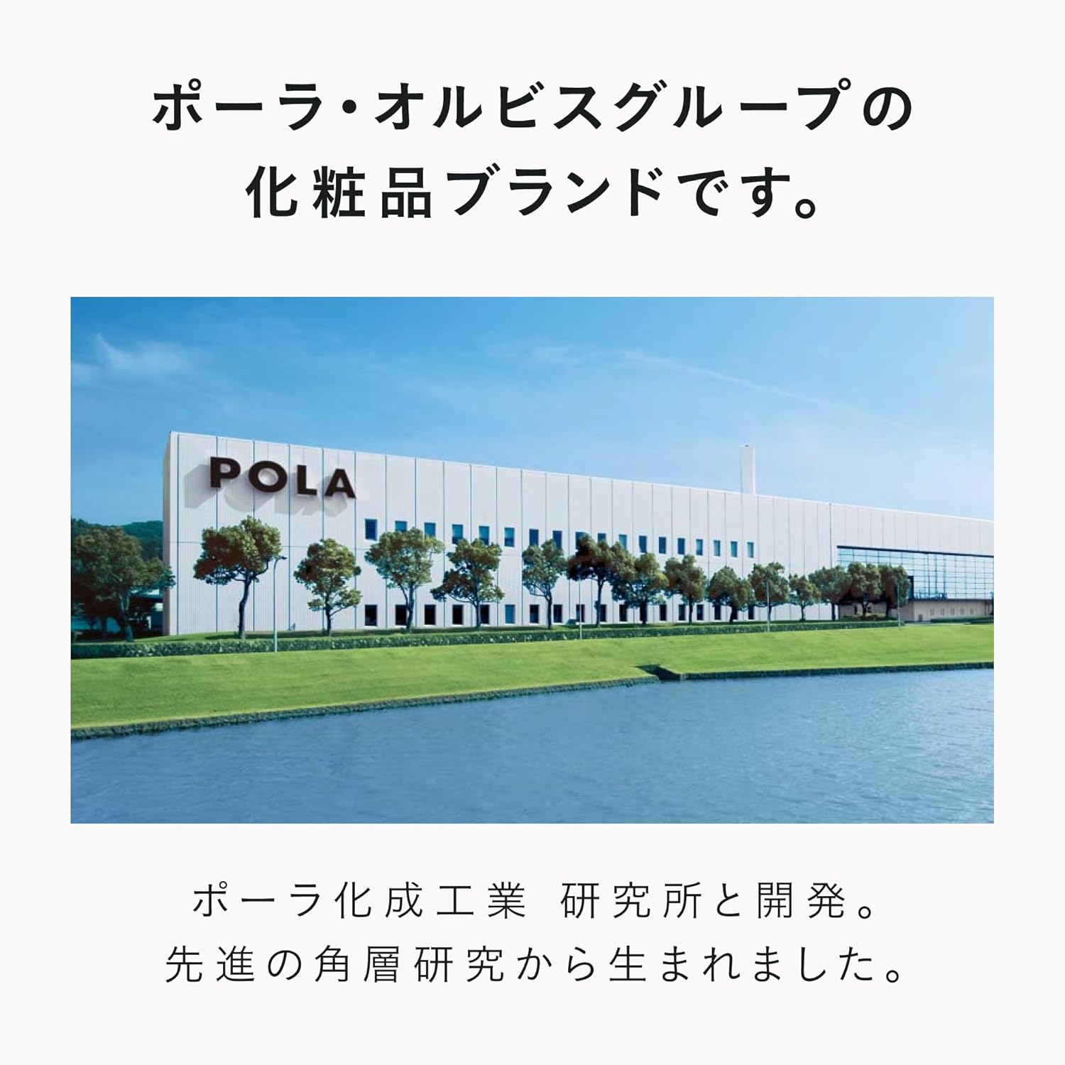 Desencia Wrinkle O/L Concentrate (Wrinkle Improvement Essence / 30mL) Niacinamide Face Oil (Wrinkle, Firm, Gloss), Skin Care, Sensitive Skin, Dry Skin, Gift + Cream Pouch Included