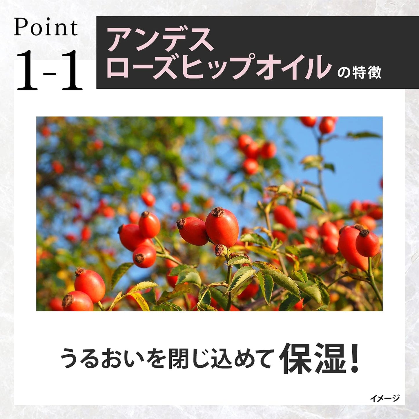 Lux Premium Botanific Treatment Damage Repair Hair Mask (Wash Off Hair Mask), 6.1 oz (170 g), Non Silicone, Paraben Free, Synthetic Coloring Free