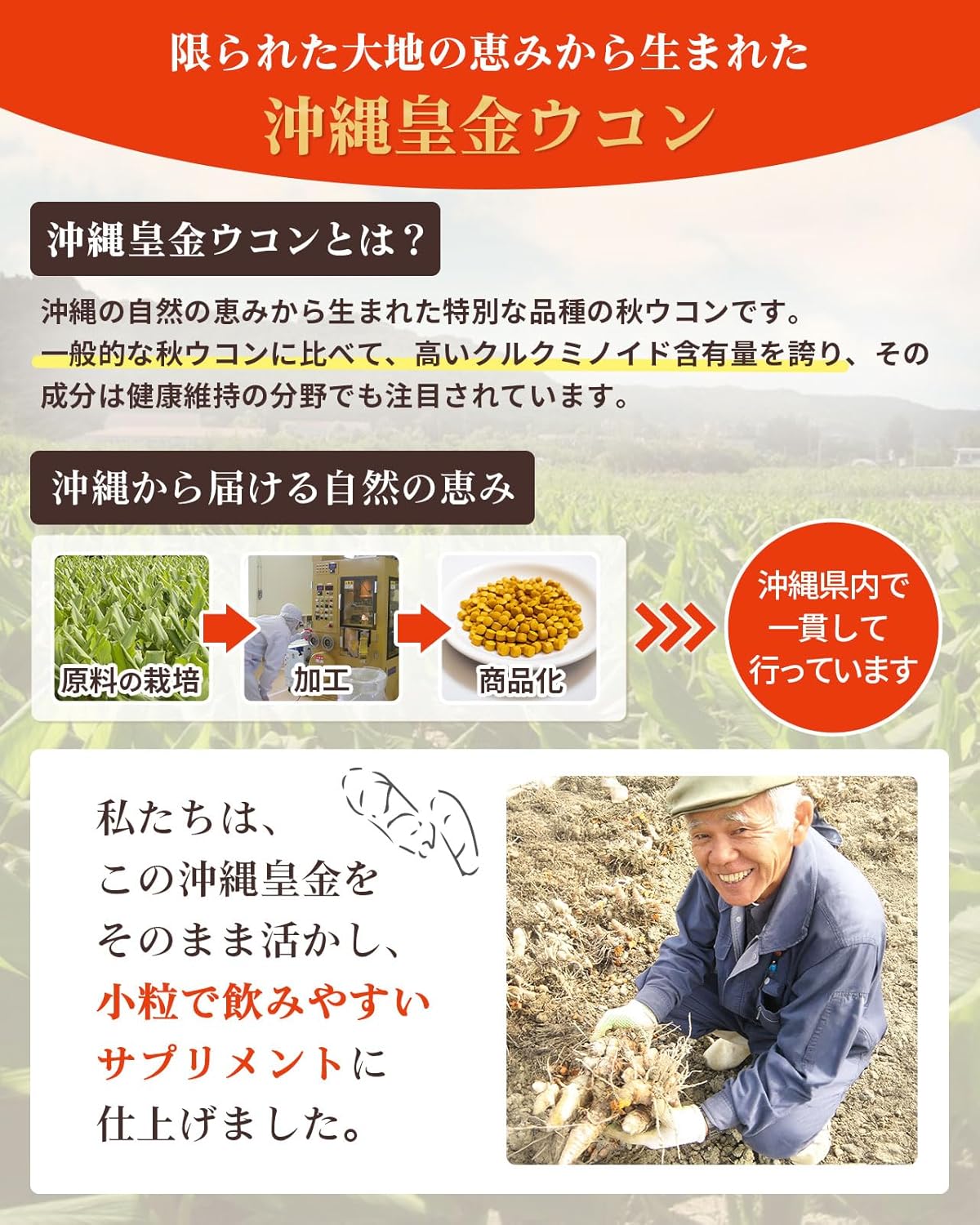 Okinawa Royal Golden Autumn Turmeric 100% (Supervised by Nutritionist) Curcumin, Easy to Drink, Small Pills, Made in Okinawa Prefecture Supplement
