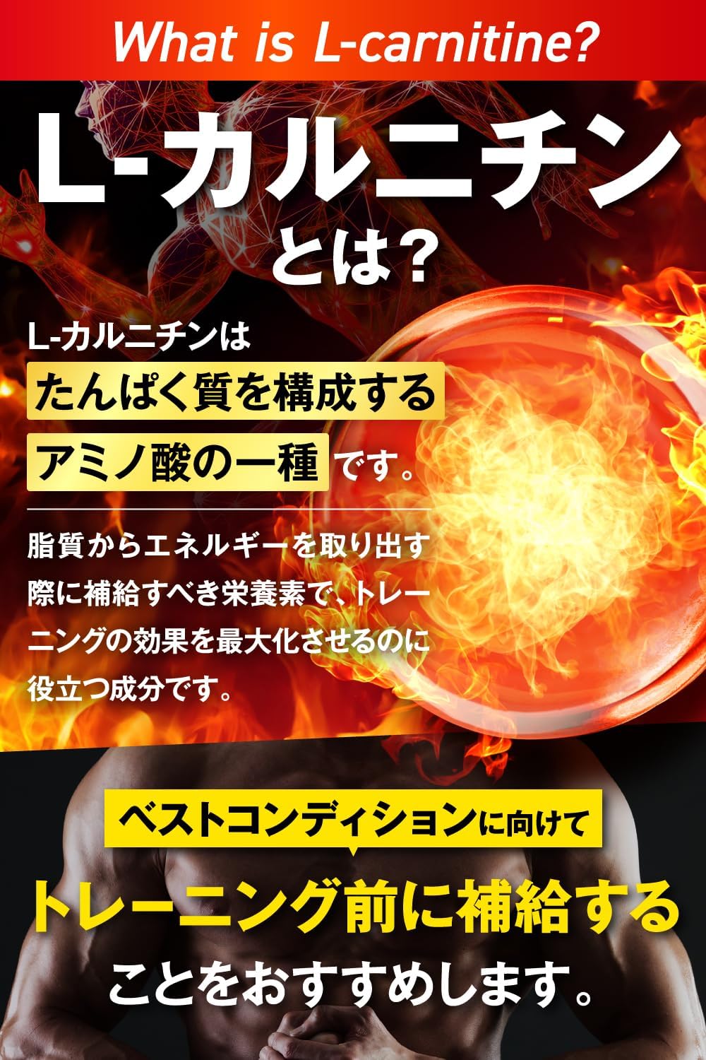 【Physician-Supervised】 JAKS Carnitine 23,000 mg, 767 mg per day, Diet, 180 Particles, Approximately 30 Days Supply, PREMIUM 25 Powerful Support Ingredients, EAA 9 Essential Amino Acids, HMB, Capsaicin