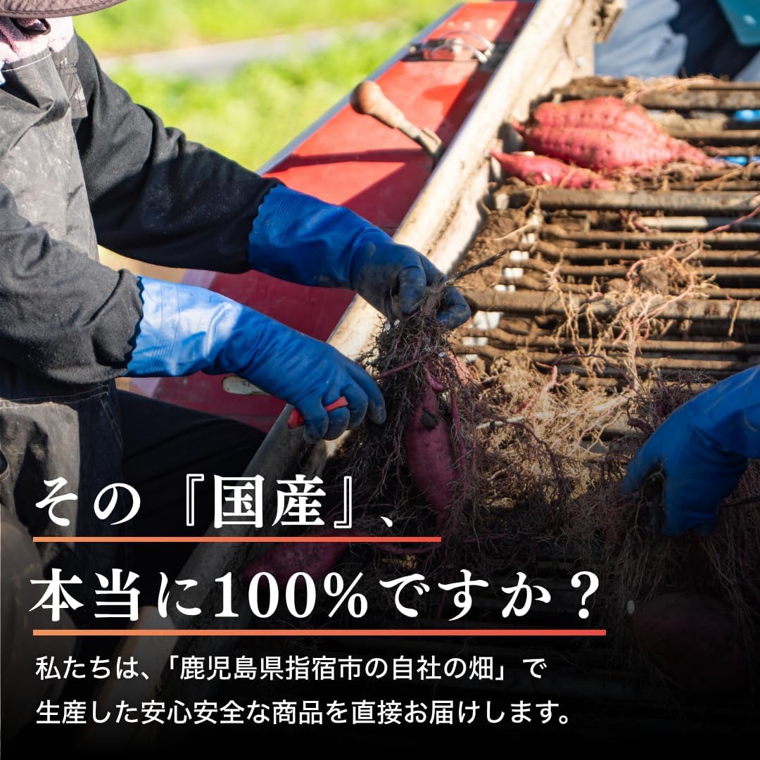Satsumarche Japanese Dried Potatoes, Red Haruka, Choose From, 26.5 - 16.7 lbs (750 - 7.5 kg), Produced in Toshuku, Direct from Kagoshima Prefecture, No Additives, No Sugar, Netori, Moist & Moist