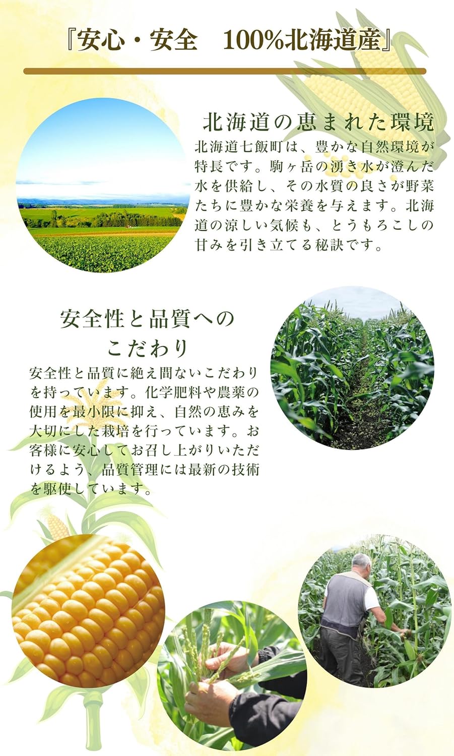 Corn, Hokkaido, Gold Rush, 6.6 gal (2 L), Size x 10, Morning Harvesting, Sweet Corn, Hokkaido, Corn, and Shrimps