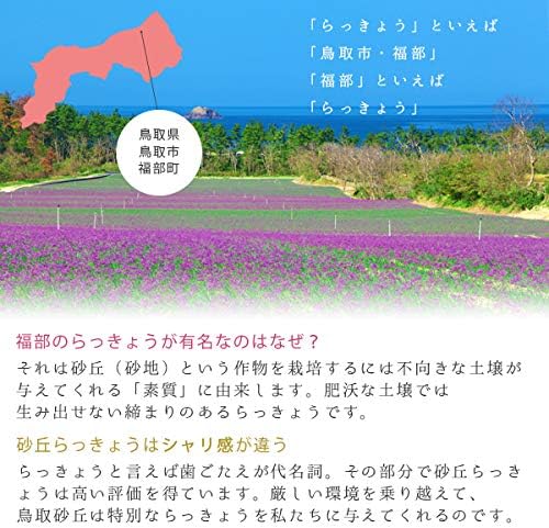 風味絶佳.山陰 Sand Dune Rakkyo Pickles, Produced in Fukube Town, Tottori Prefecture, 4.6 oz (130 g) x 3 Types Set, Additive-Free, Made in Japan