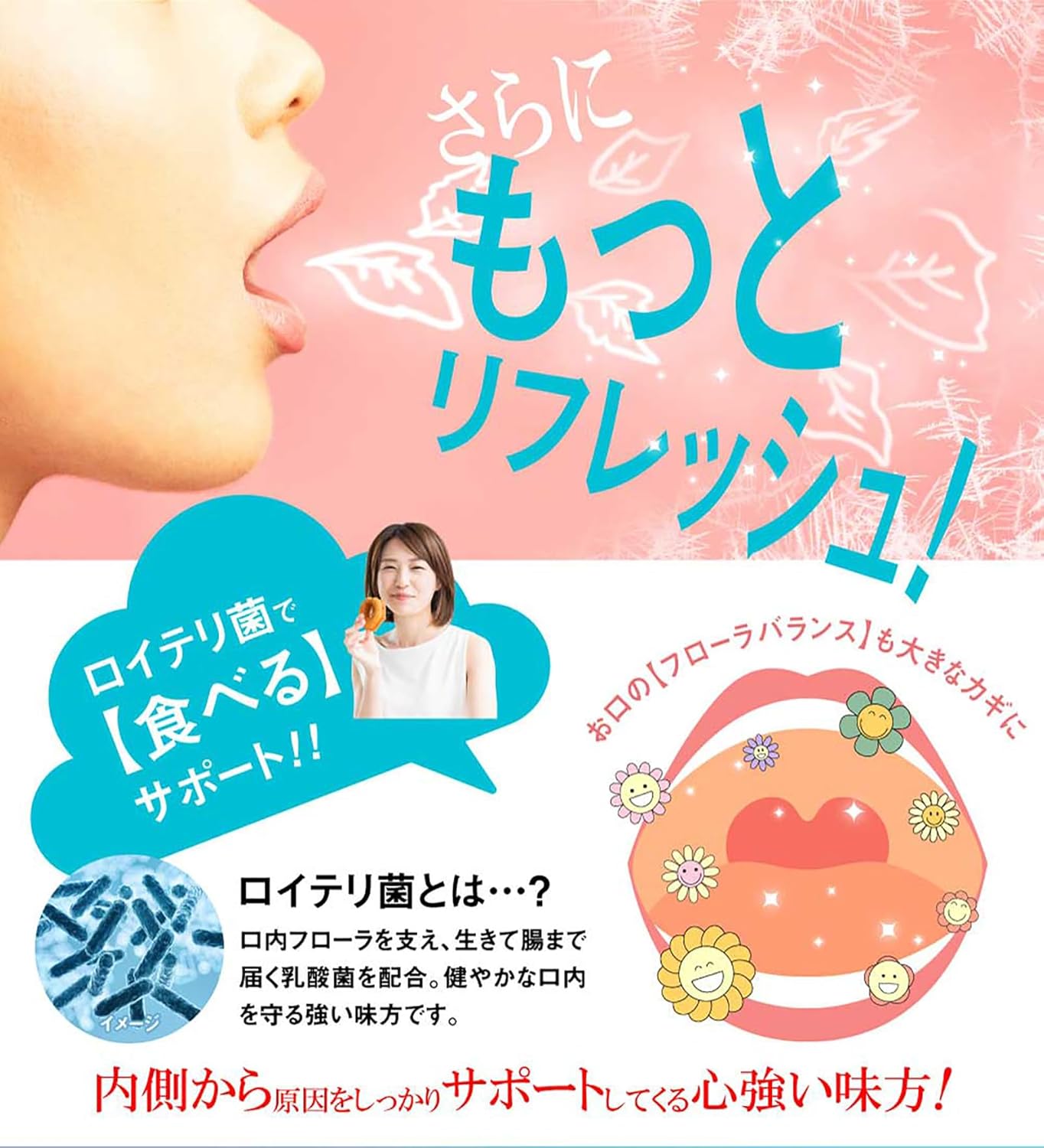 Etiquette Supplement, NOI GURD 31 Tablets/1 Month Supply, Champignon, Reuteri Bacteria, Lactic Acid Bacteria, DeoAttack Tea Catechin, Bamboo Charcoal, Oligosaccharide, Capsule Type