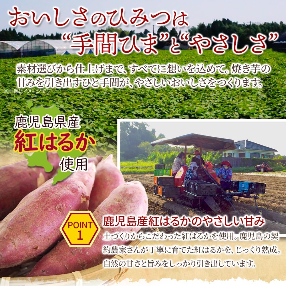 Natural Lifestyle Roasted Dried Potatoes Stick (4.2 oz (120 g), 4 Potatoes, Produced in Kagoshima Prefecture, Red Haruka, Made in Japan, Snacks, Sweets, Paste, Edible