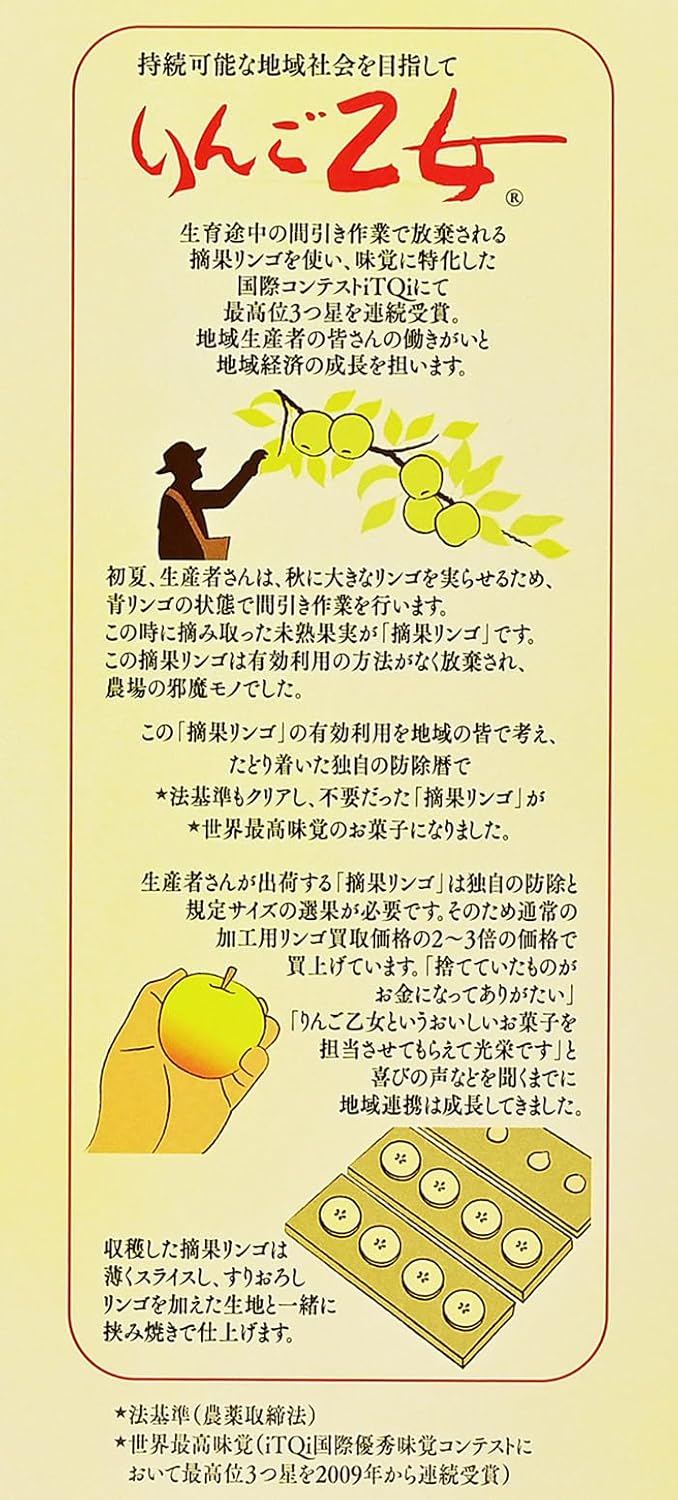 Apple Maiden Matsuzawa Souvenir That You Can Enjoy The Taste of Apples (1 Box, 16 Pieces)