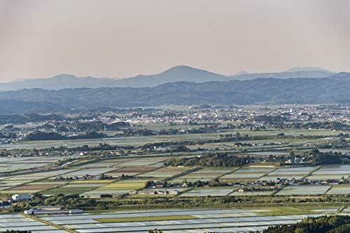 by Miyagi-grown Tsuyahime Unwashed Rice, 11 lbs (5 kg), Reiwa 7 Crop
