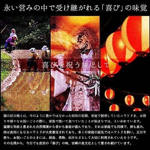 Miyazaki Specialty, Char-Grilled Chicken, 100g x 10 Pack, Retort, 2-Year Shelf Life, Snack, Preserved Food, Room Temperature (Salt Flavor)