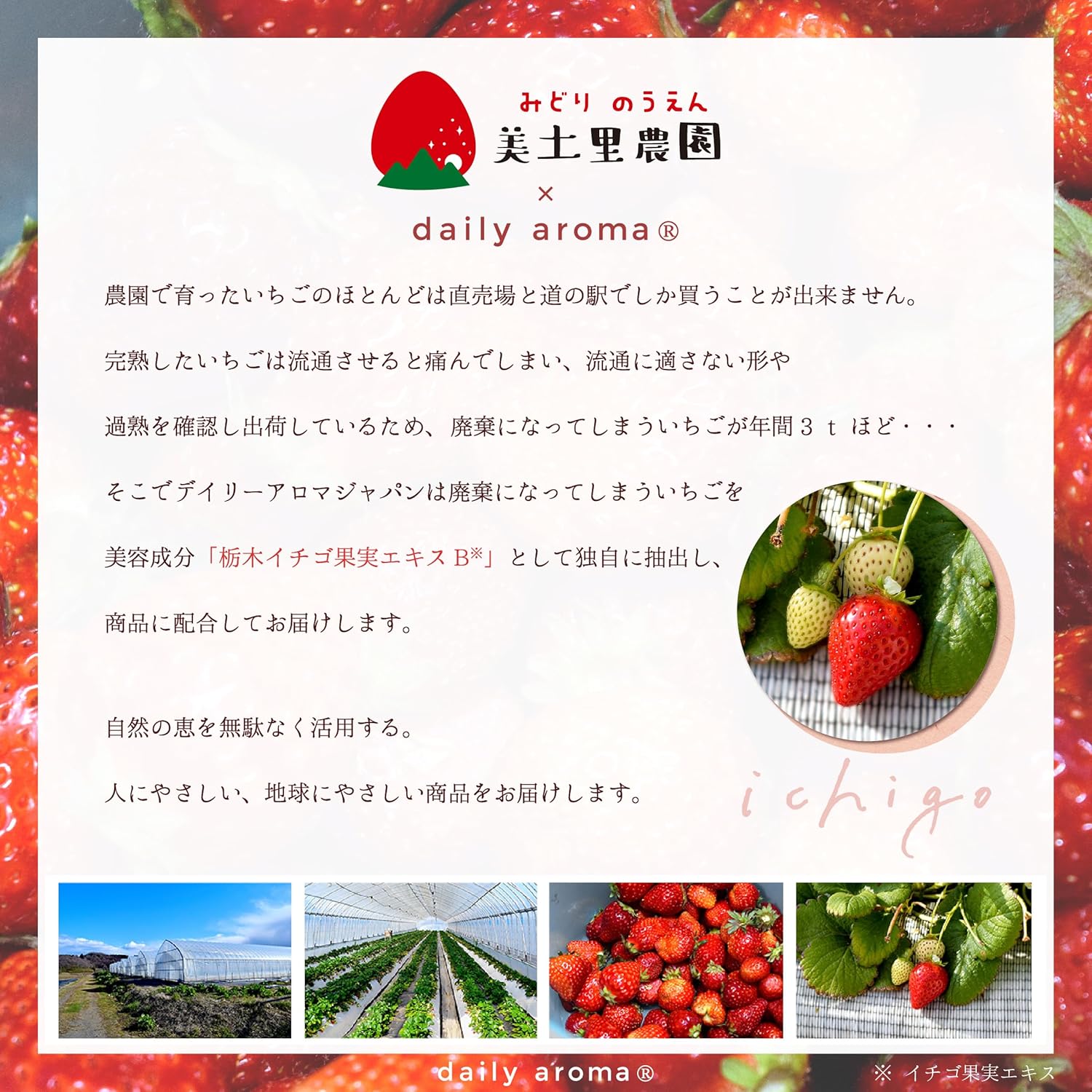 Tochigi Prefecture, Strawberry Farm, Mikori Farm Collaboration Product, Juicy Face Mask ~ Otome and Watermelon (1 Piece) | デイリーアロマジャパン 日本製 ビタミンC誘導体 コラーゲン 吸着シート とちおとめ とちあいか 苺 保湿 乾燥 ギフト いちご果実エキス配合