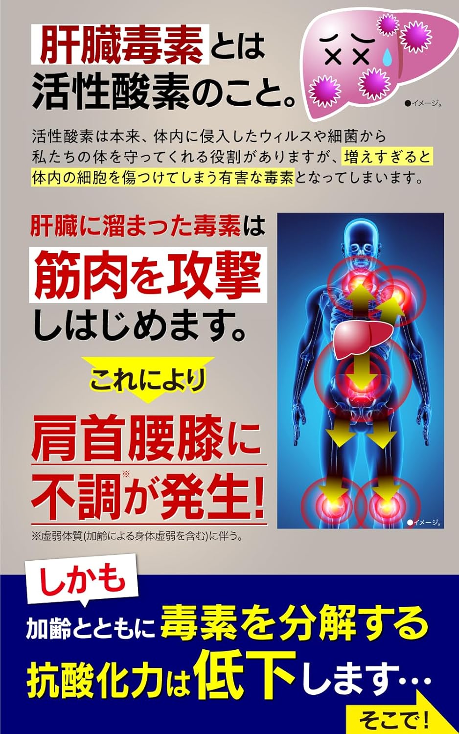 Hoguraku Care EX 90 Tablets (30-Day Supply) [Back Pain, Shoulder Stiffness, Blood Flow Improvement, Fatigue Recovery, Shoulder, Neck, Lower Back, Knee Discomfort, Designated Quasi-Drug] Herb Kenkou