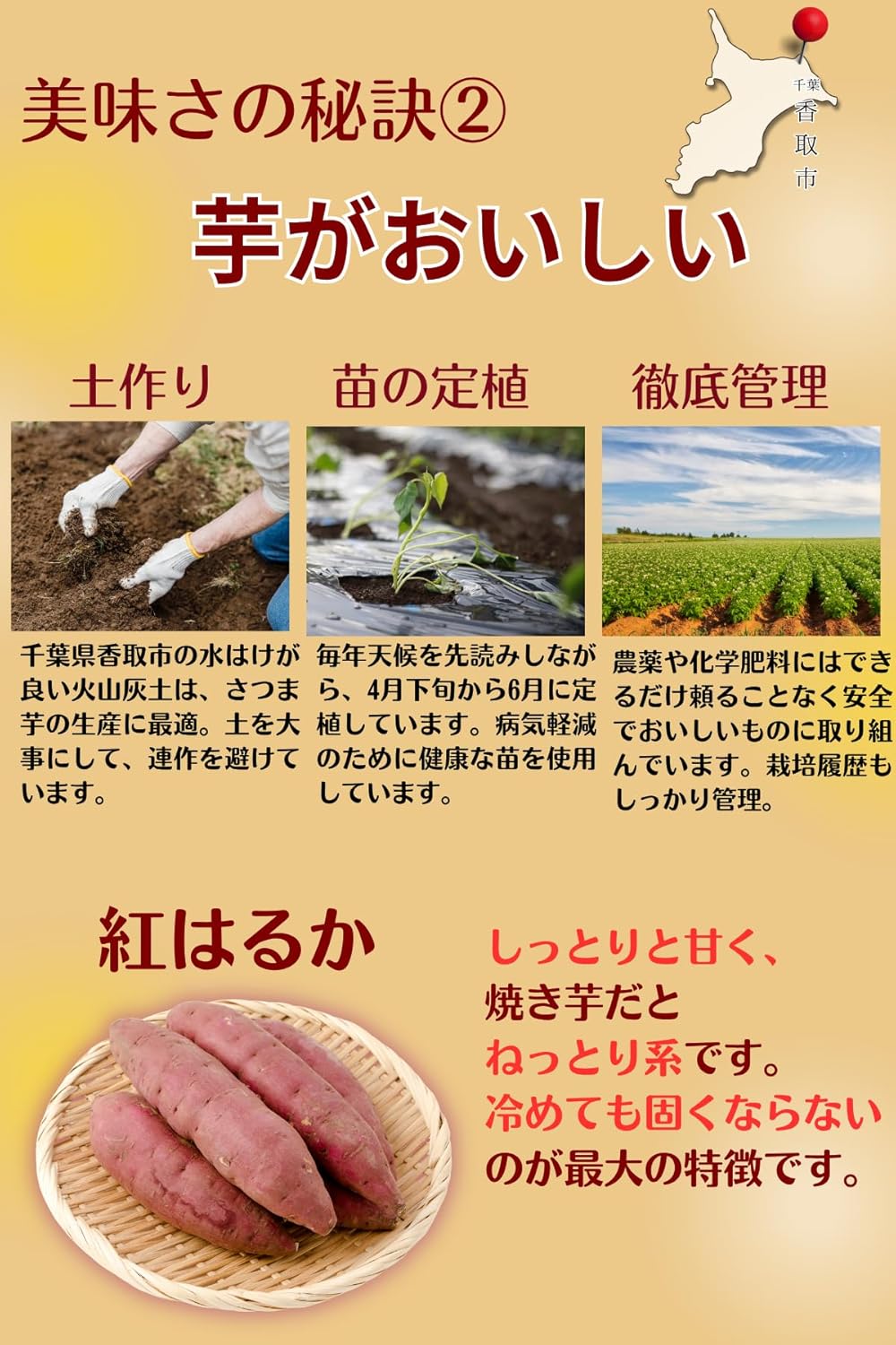 Chiba Prefecture Red Haruka Dried Potato, 3.5 oz (100 g), 3 Bags