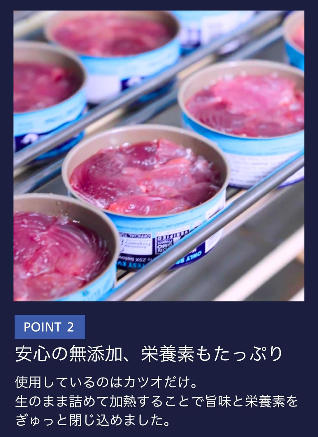 Star of the Dish Safe Catch Skipjack Tuna Cans 142g×6 cans No Added Salt Non-Oil Solid Type Chunks Solid Protein Taste of Ingredients Delicious Not Dry Safe Catch (Skipjack Tuna) Popular Overseas