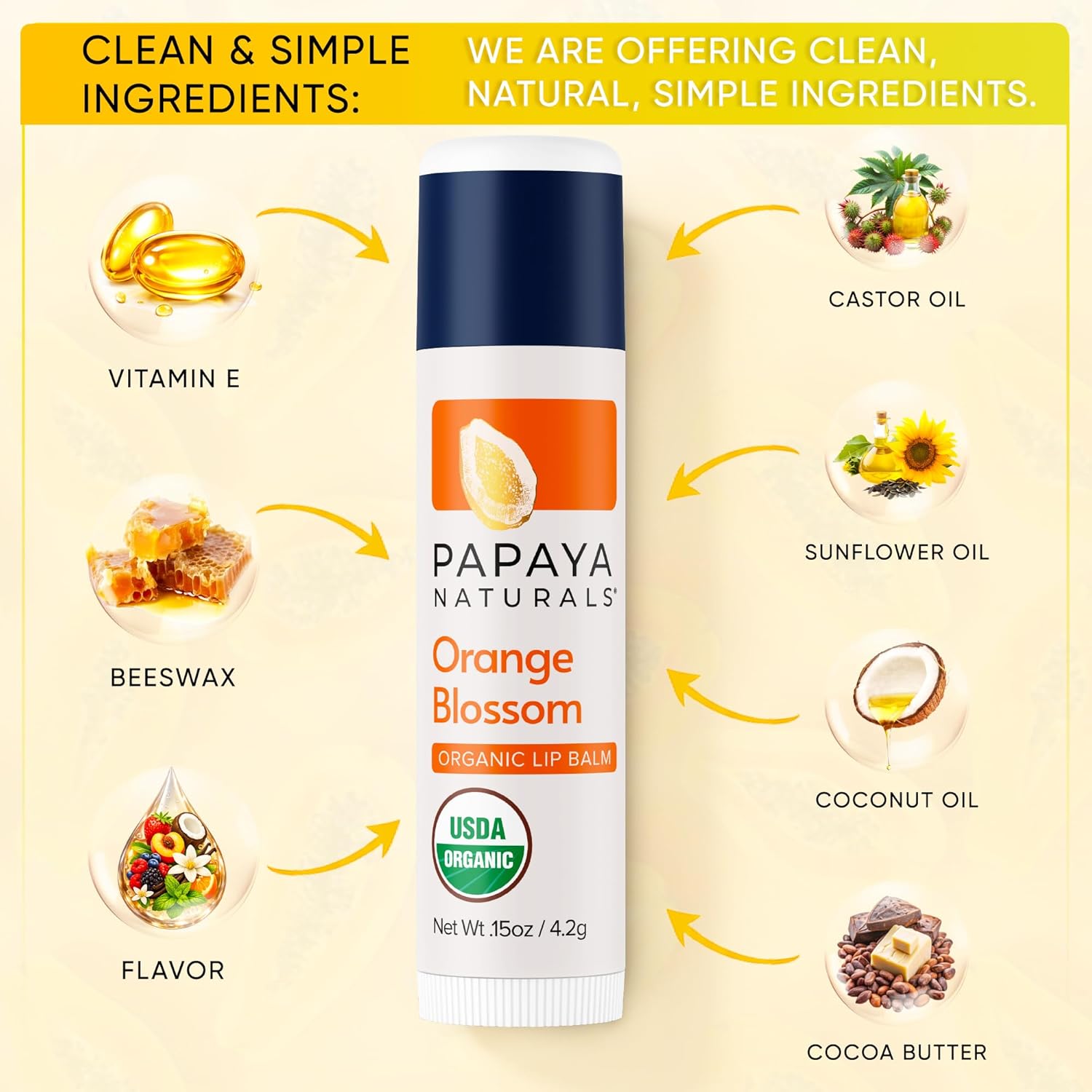 Papaya Naturals USDA - Juego de bálsamo labial orgánico, paquete de 6 – cera de abeja orgánica, manteca de cacao y vitamina E bálsamo labial para labios secos – Cuidado de labios natural hidratante