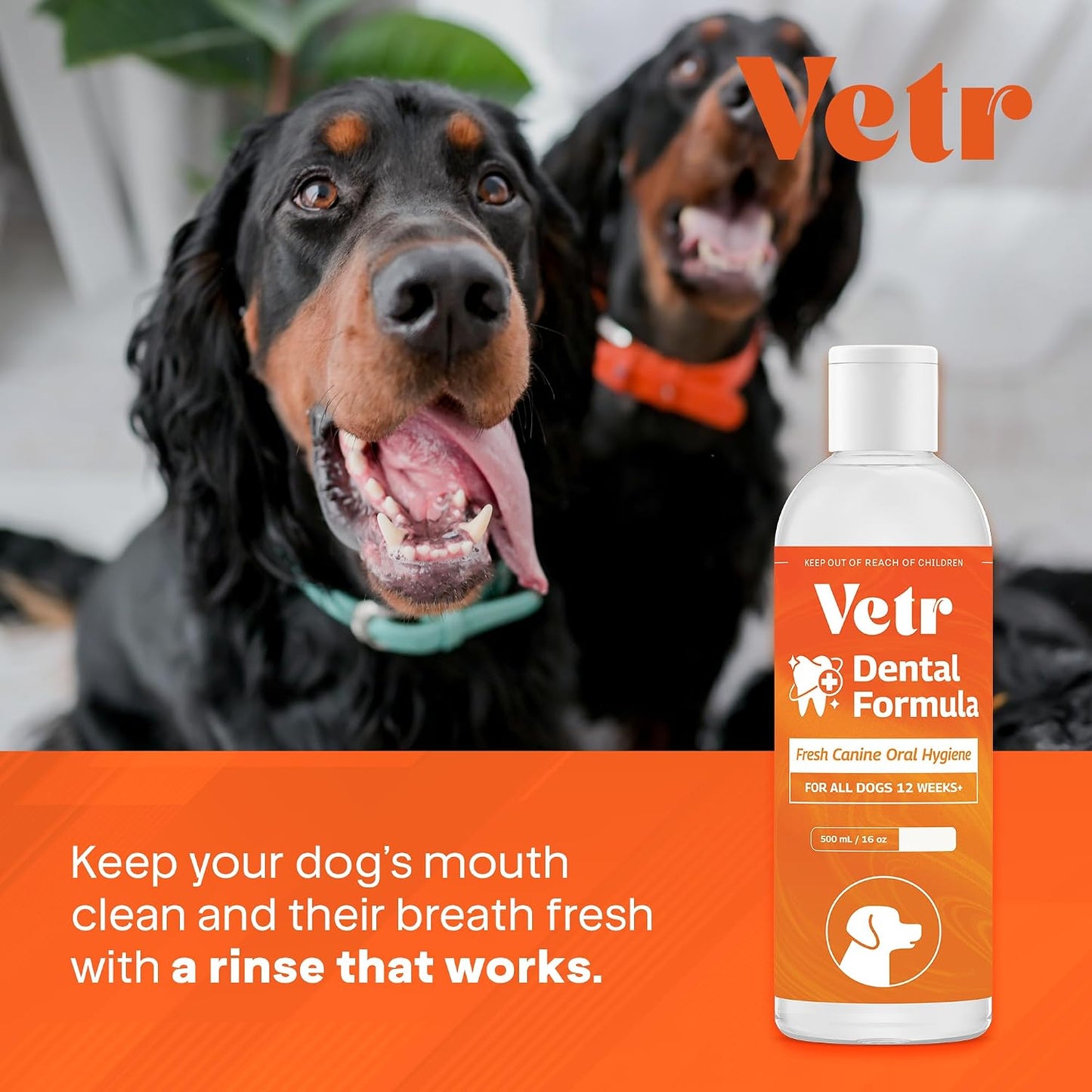Vetr Fórmula dental para perros, aditivo líquido con sabor a menta para el cuidado bucal con enzimas para el aliento y el apoyo de los dientes, formulado por veterinarios en Estados Unidos (16 onzas)