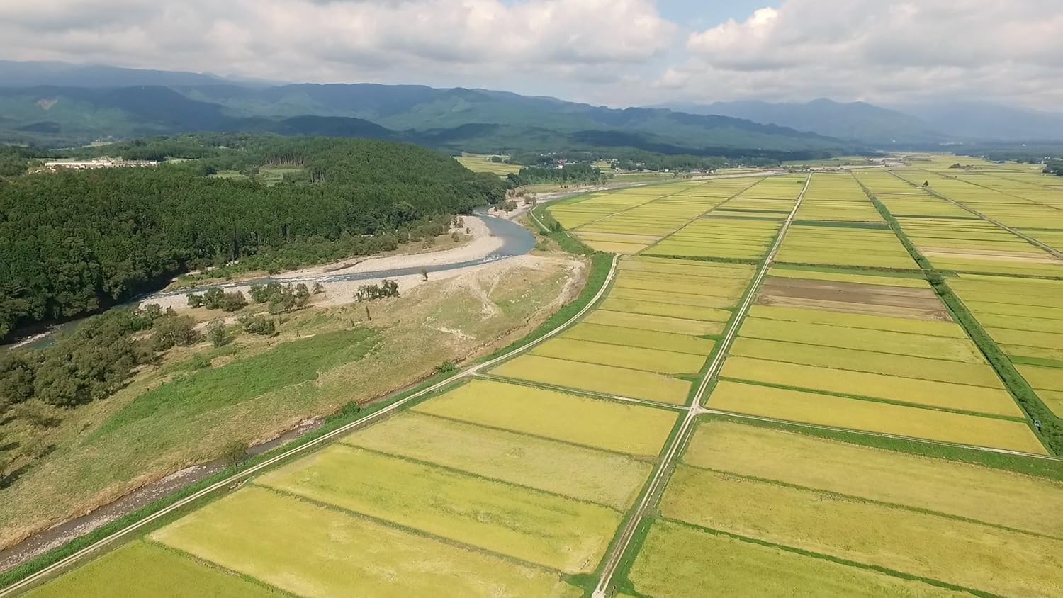 by Tochigi Prefecture Koshihikari Wash-Free Rice 5kg (11.0 lbs) Reiwa 7th Year Crop