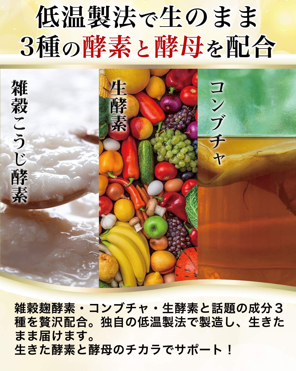 Intestinal Revolution, New Habits for Bacteria and Enzymes, Supplement, Butyric Acid Bacteria, Bifidobacteria, 31 Day Supply