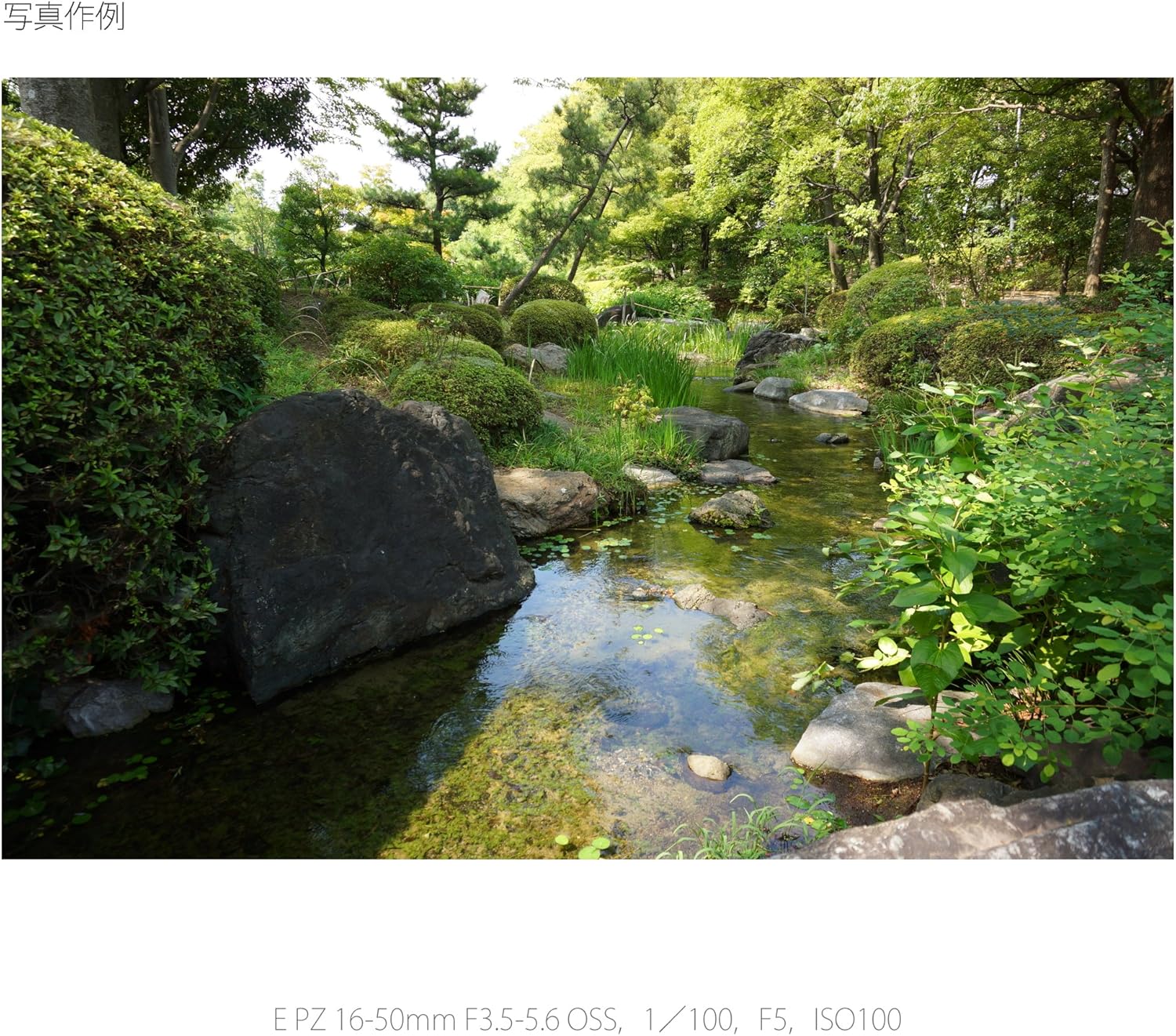 Sony SELP1650 Camera Lense