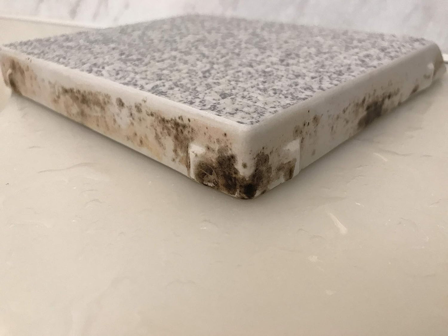 Mold Remover Artisan Rich Ver: Mold Trigger Pro Professional Formula 20 L!