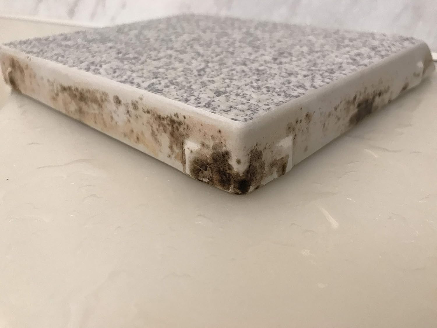 Mold Remover Artisan Rich Ver: Mold Trigger Pro Professional Formula 20 L!