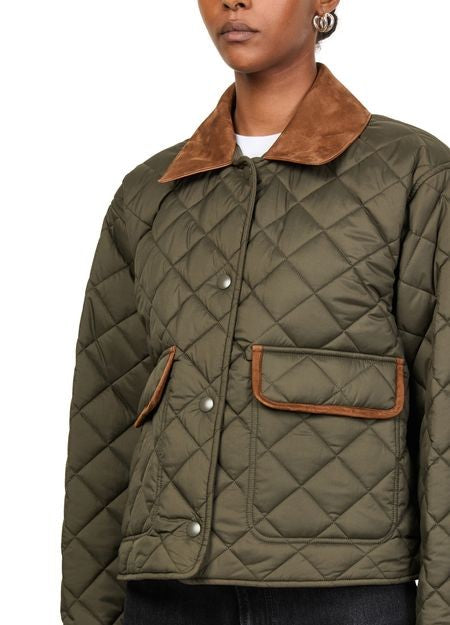 MIU MIU Quilted hunting jacket - Image 4
