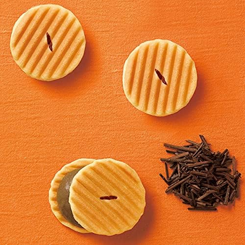 Kogetsu Hime Senju Crackers Organic Hojicha 12pcs / Kyoto Japanese Sweets Gift for Year-End Gratification, Thank You, Celebration, Return Gift, Offering, Confectionery