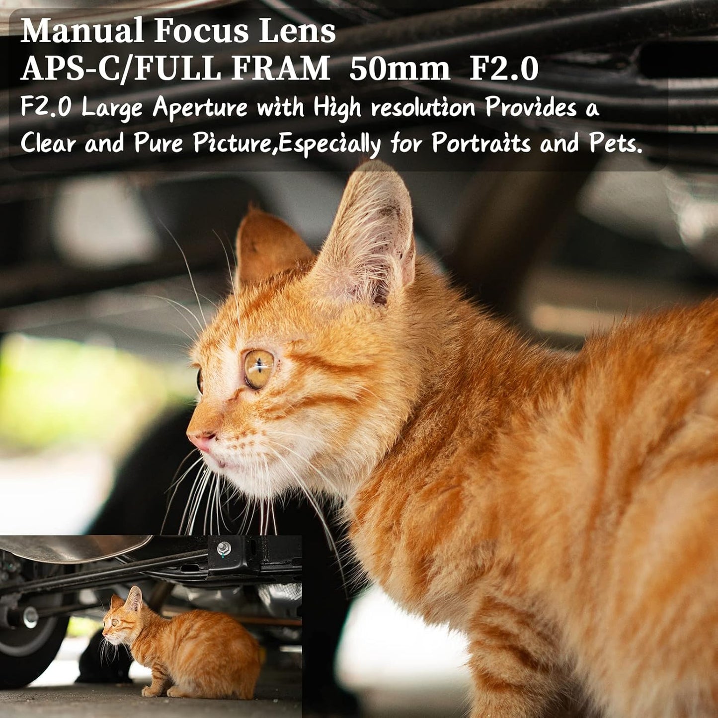 AstrHori 50mm F2.0 Full Frame Large Aperture Manual Focus Prime Lens with Blur Effect & Filter Slot for Sigma, Leica, Panasonic Large Mount Camera Large TL CL TL2