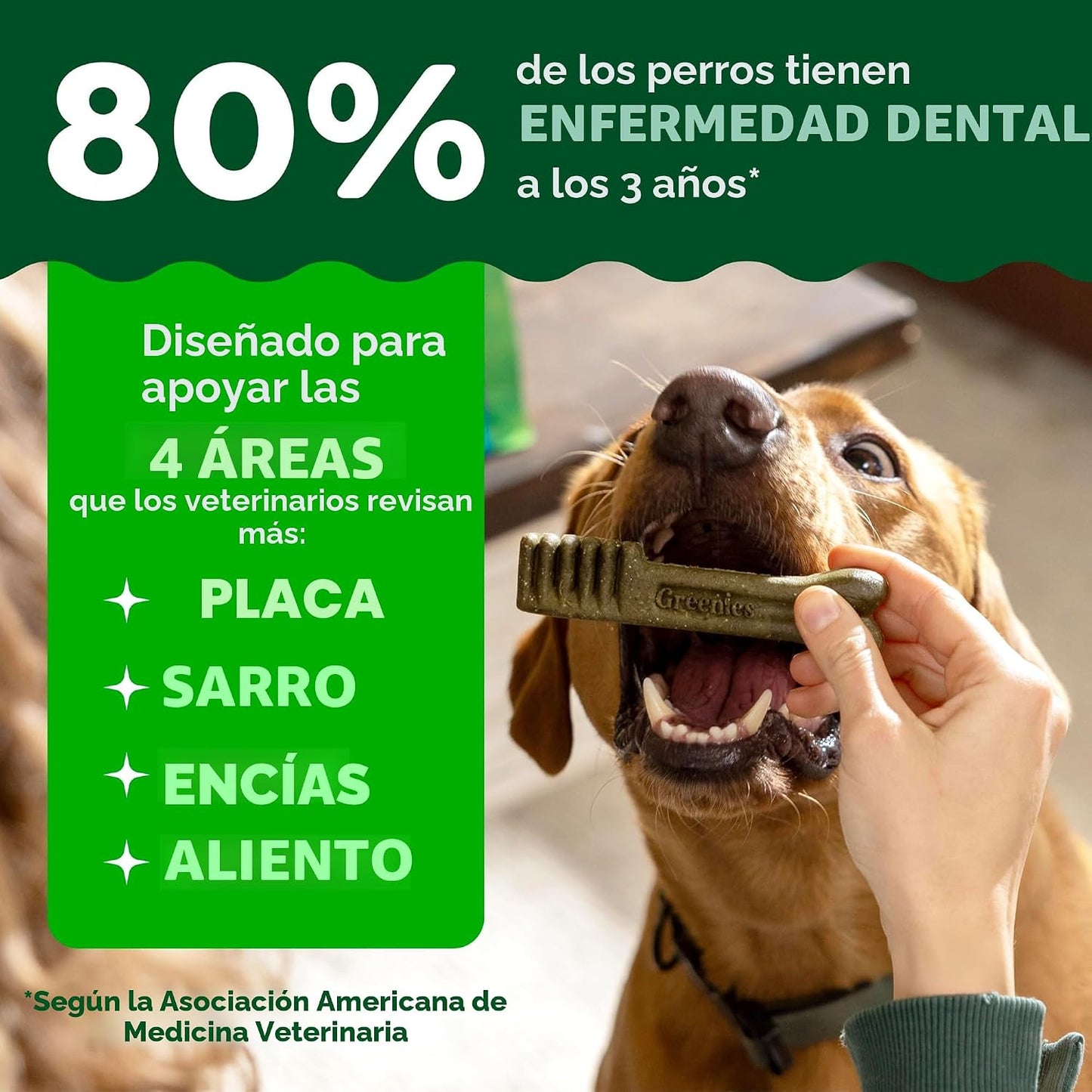Greenies - Golosinas naturales para la salud dental de perros pequeños, sabor original, paquete de 36 onzas (60 unidades)