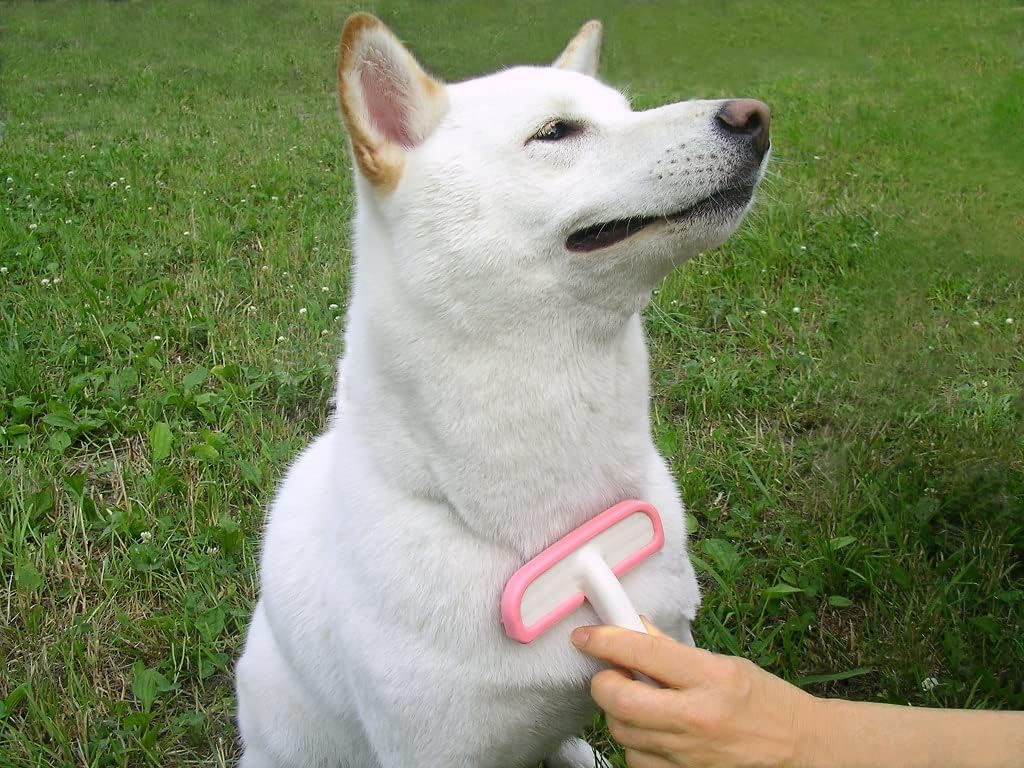 BEBON Rubber Slicker Brush, Small, Pink, For Dogs, Cats, Rabbits, Genuine Manufacturer, Made in Japan